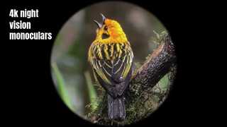 4K高画質ナイトビジョン単眼鏡