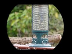 4K ビデオ Mini91 ナイトビジョン単眼鏡